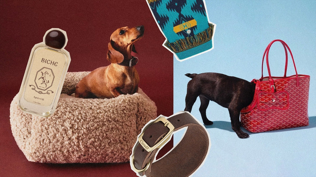 Accesorios de lujo para mascotas - collar de perro premium y piezas de joyería personalizada